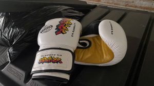 Sidekick Boxing Gloves Review